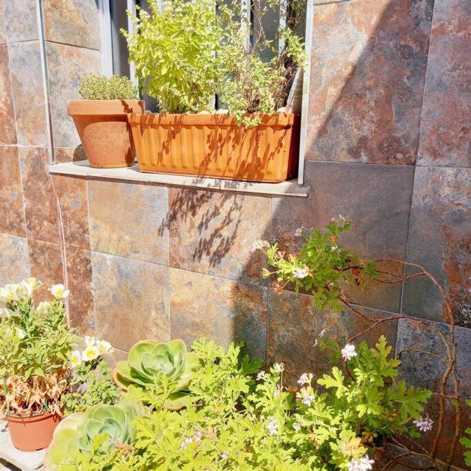 Appartement Rias Bajas Apartamento Con Jardin à Villanueva De Arosa Extérieur photo